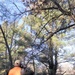 Century-old tree documented in Fort McCoy’s Pine View Recreation Area