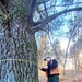 Century-old tree documented in Fort McCoy’s Pine View Recreation Area