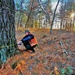 Century-old tree documented in Fort McCoy’s Pine View Recreation Area