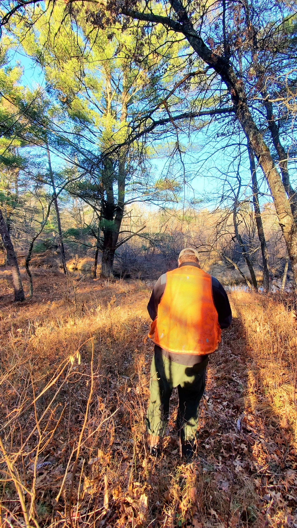 Century-old tree documented in Fort McCoy’s Pine View Recreation Area