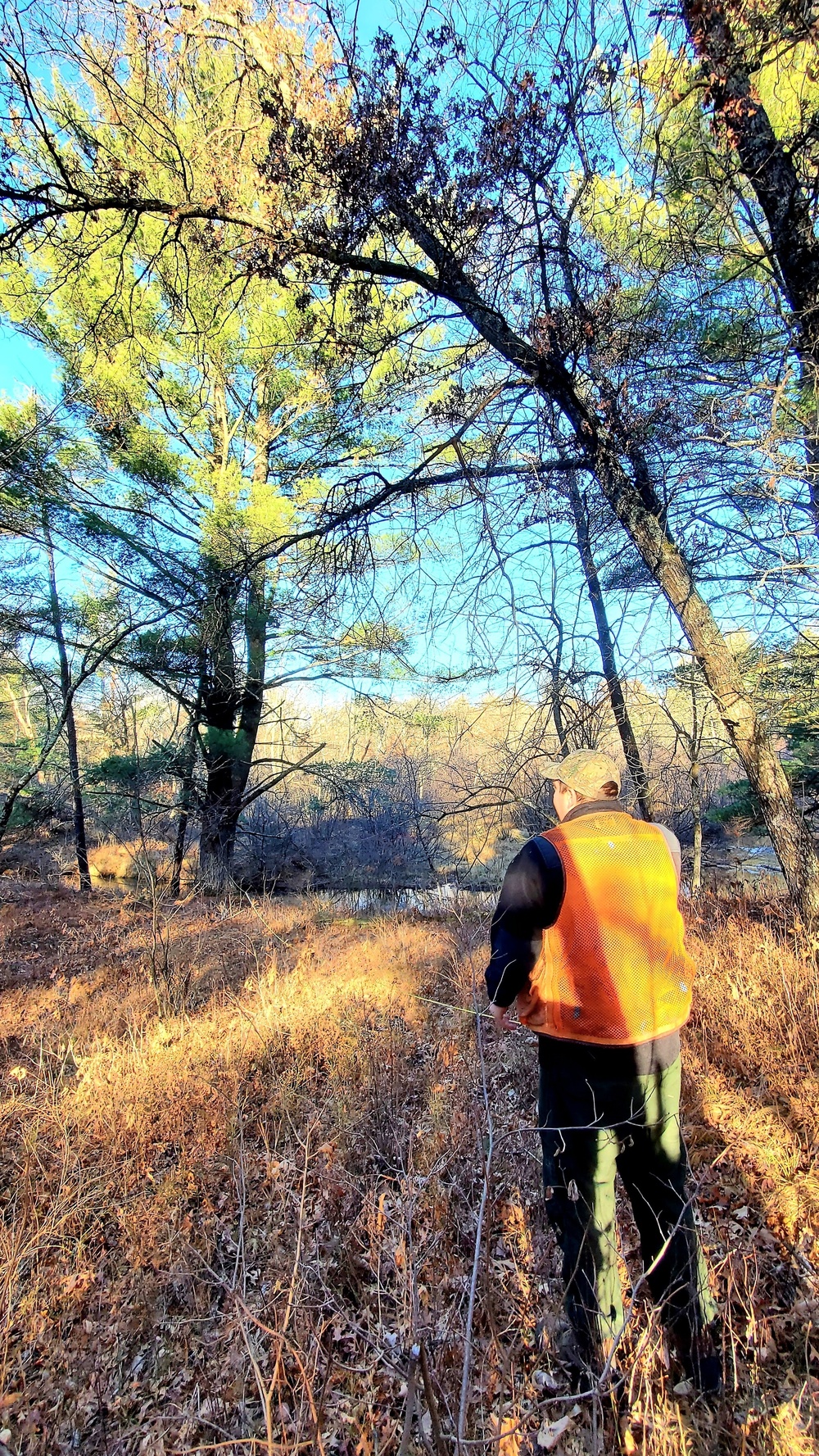 Century-old tree documented in Fort McCoy’s Pine View Recreation Area