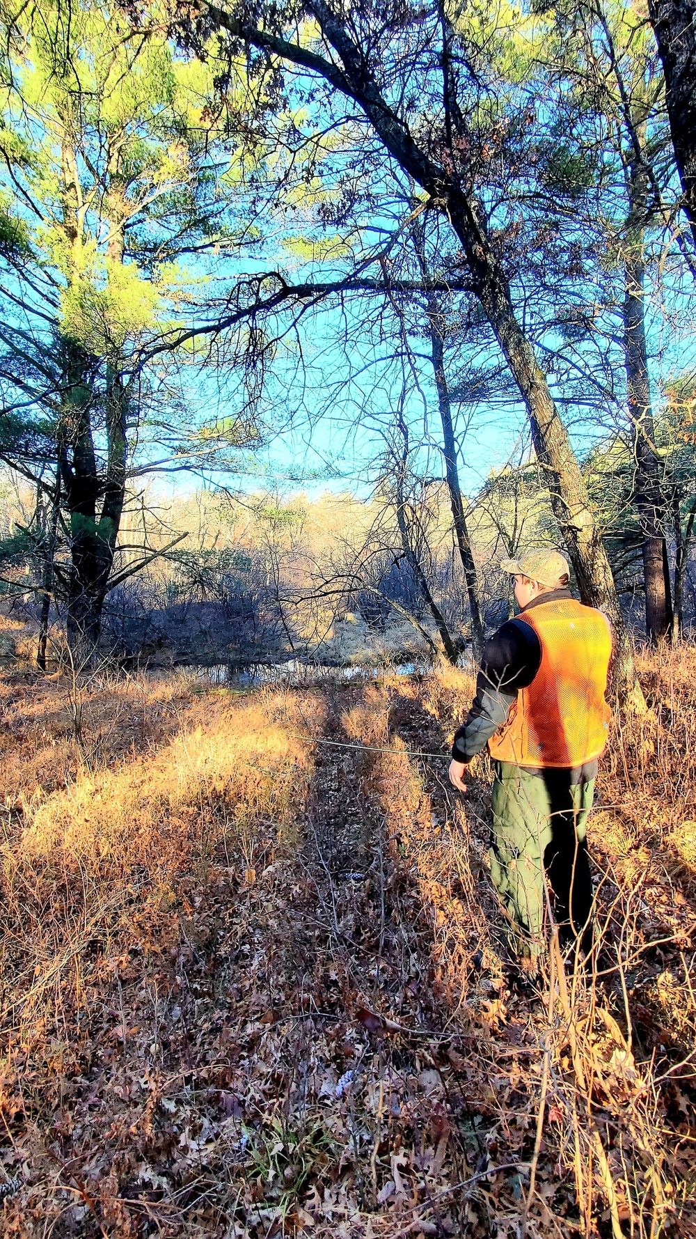 Century-old tree documented in Fort McCoy’s Pine View Recreation Area