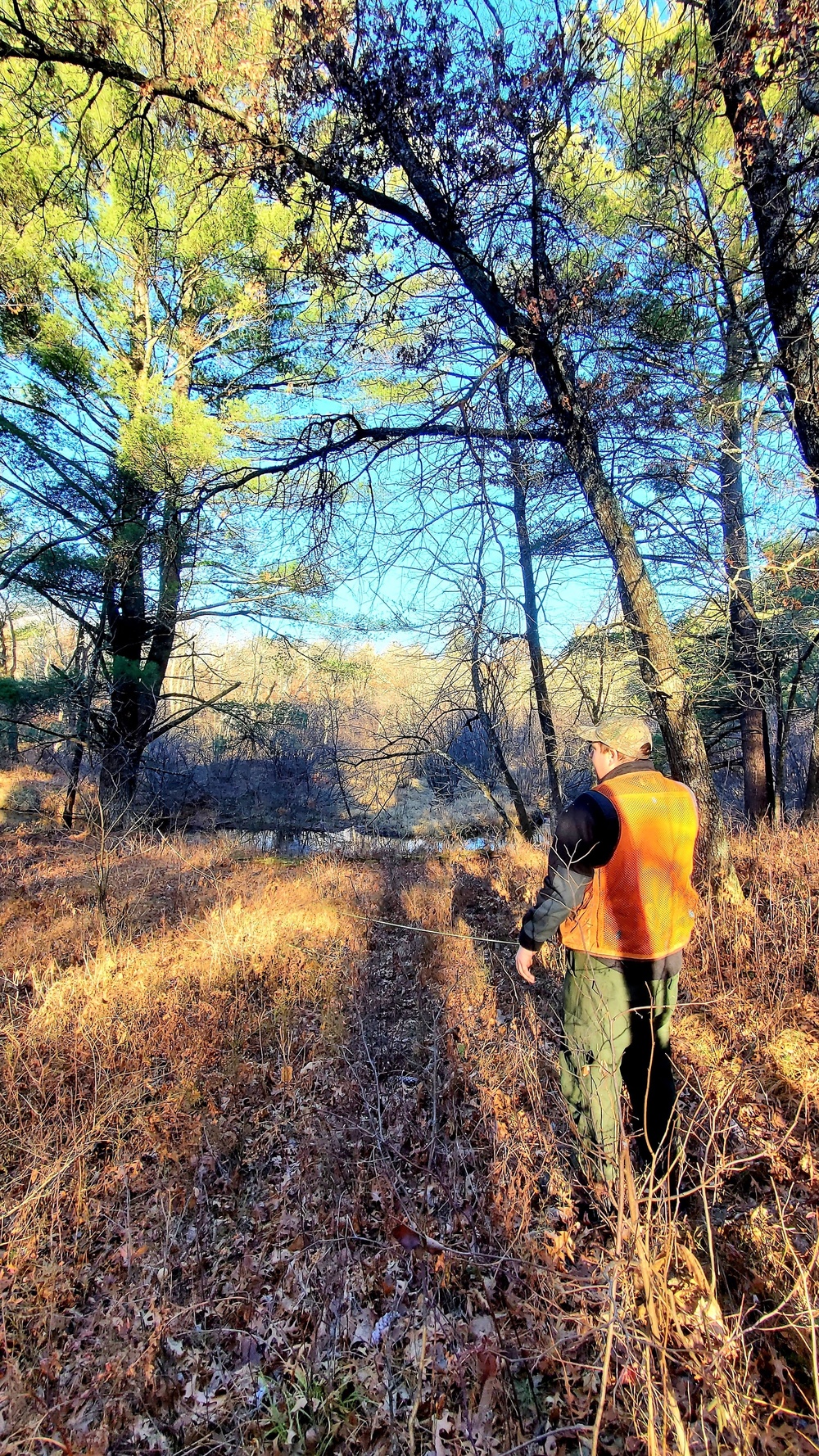 Century-old tree documented in Fort McCoy’s Pine View Recreation Area