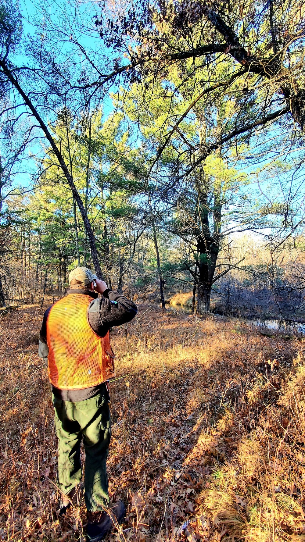 Century-old tree documented in Fort McCoy’s Pine View Recreation Area