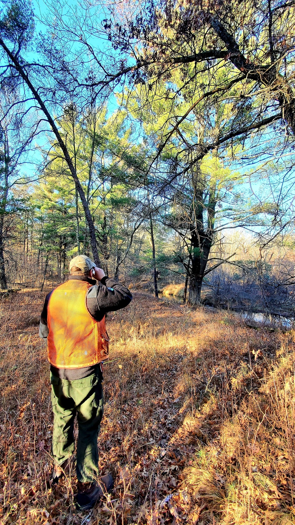 Century-old tree documented in Fort McCoy’s Pine View Recreation Area