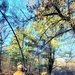 Century-old tree documented in Fort McCoy’s Pine View Recreation Area