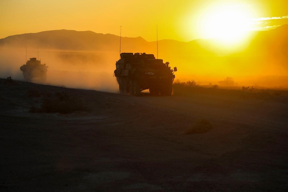 Strykers at National Training Center