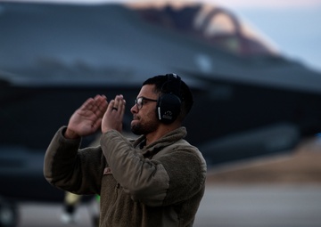 Operation IRON DAGGER