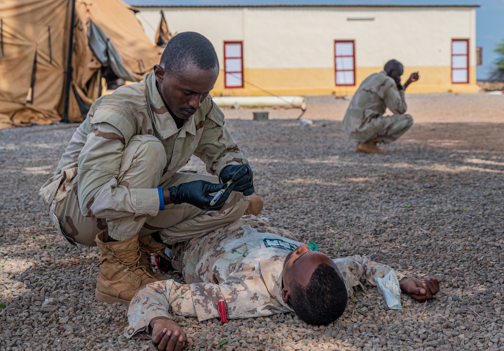 U.S. and Djiboutian soldiers train together