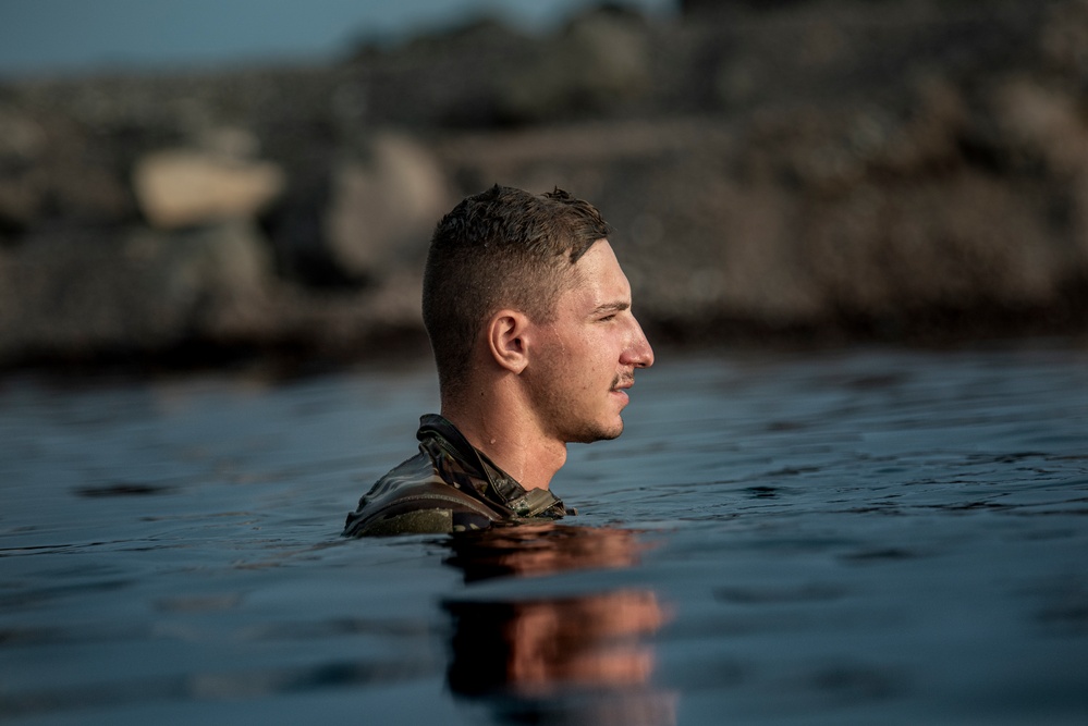 U.S. service members train in French Desert Commando Course in Africa