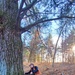 Century-old tree documented in Fort McCoy’s Pine View Recreation Area