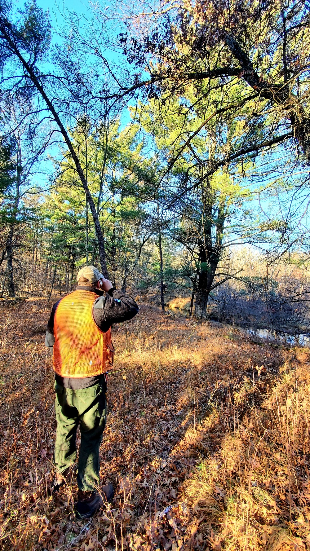 Century-old tree documented in Fort McCoy’s Pine View Recreation Area