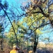 Century-old tree documented in Fort McCoy’s Pine View Recreation Area