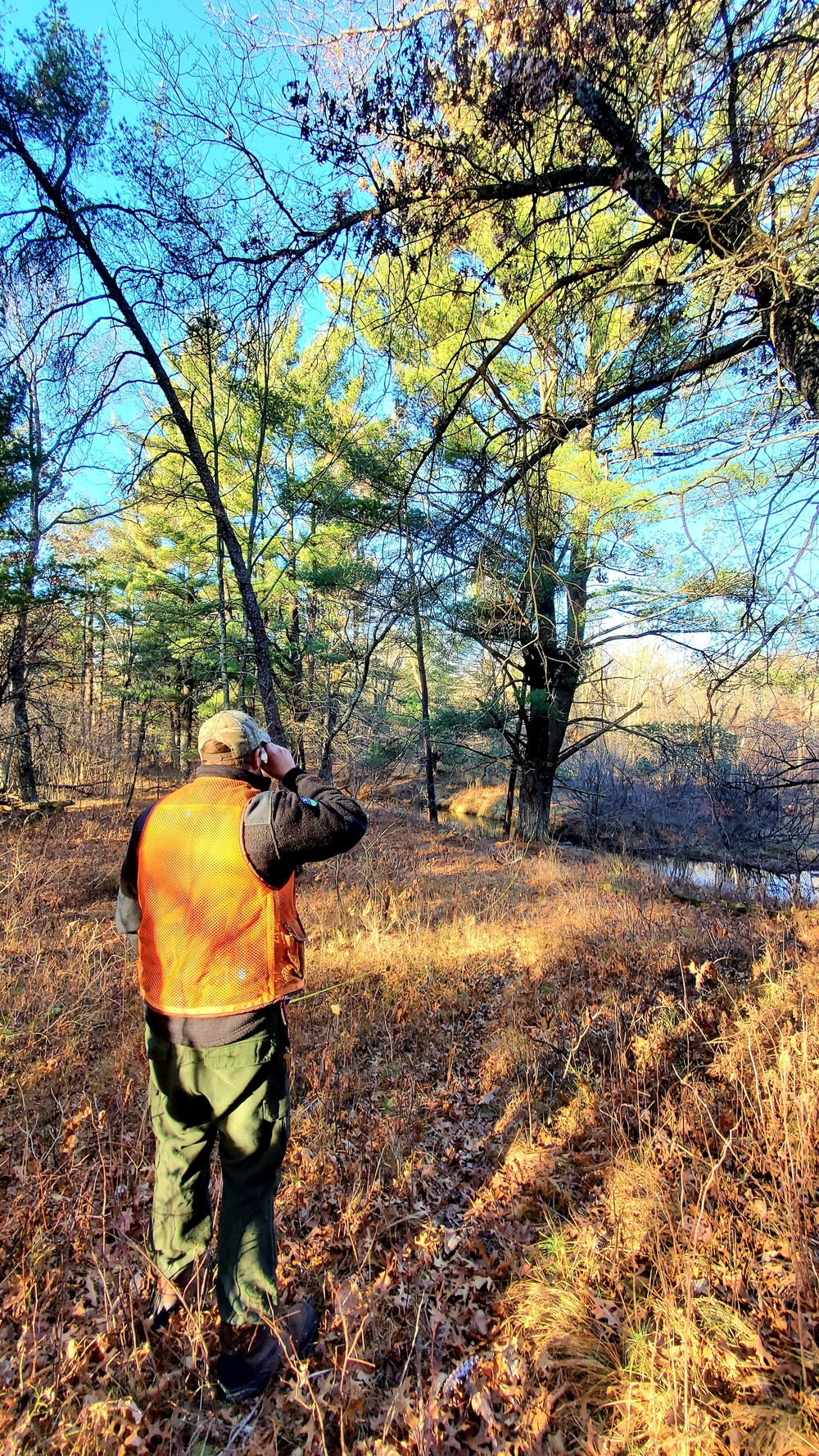 Century-old tree documented in Fort McCoy’s Pine View Recreation Area