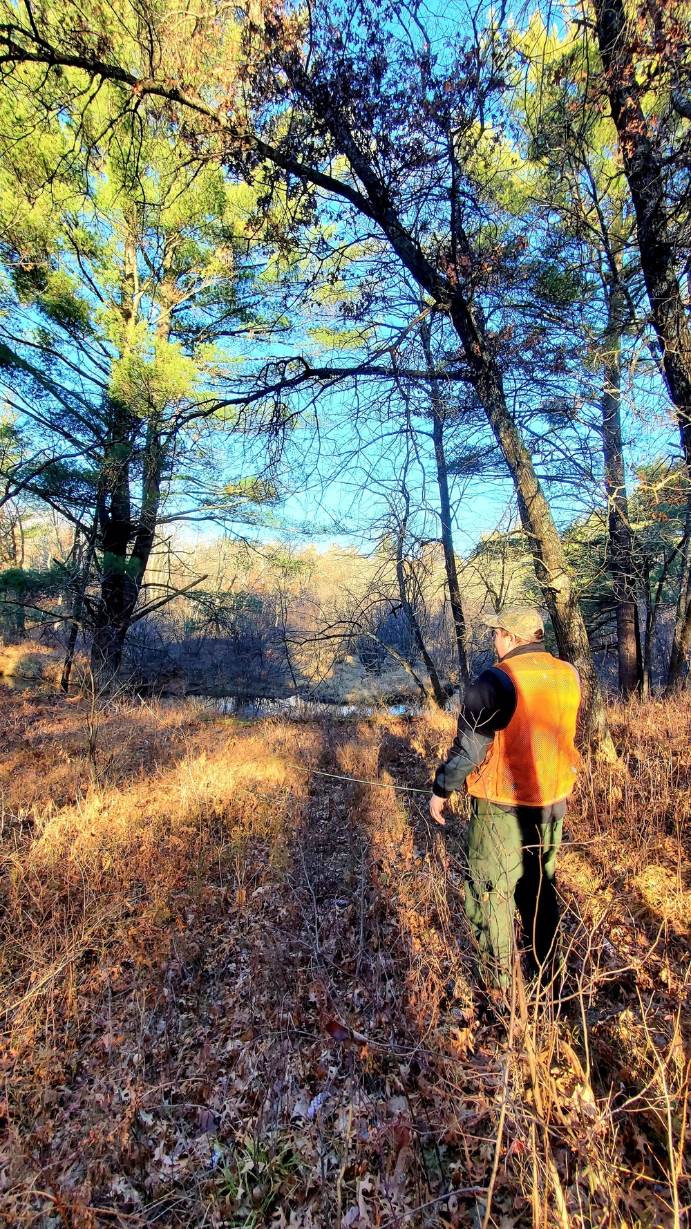 Century-old tree documented in Fort McCoy’s Pine View Recreation Area