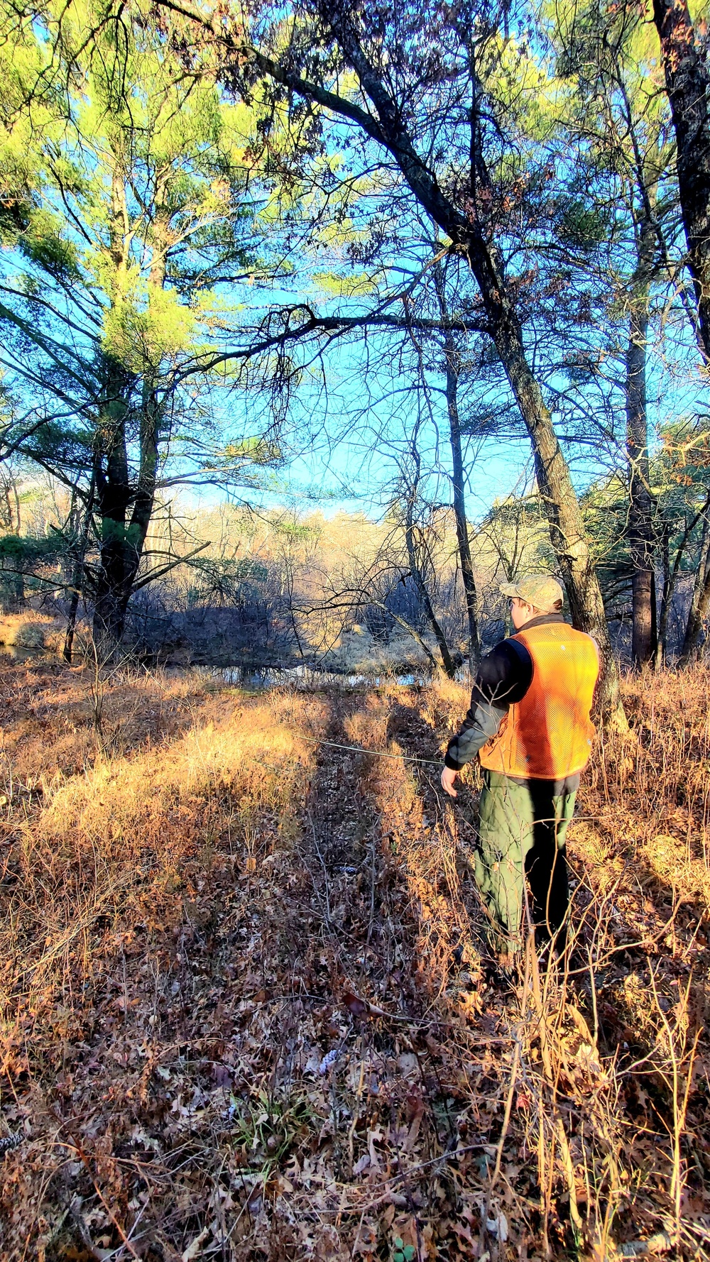 Century-old tree documented in Fort McCoy’s Pine View Recreation Area