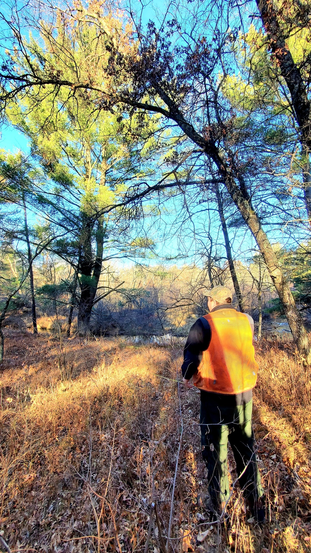 Century-old tree documented in Fort McCoy’s Pine View Recreation Area