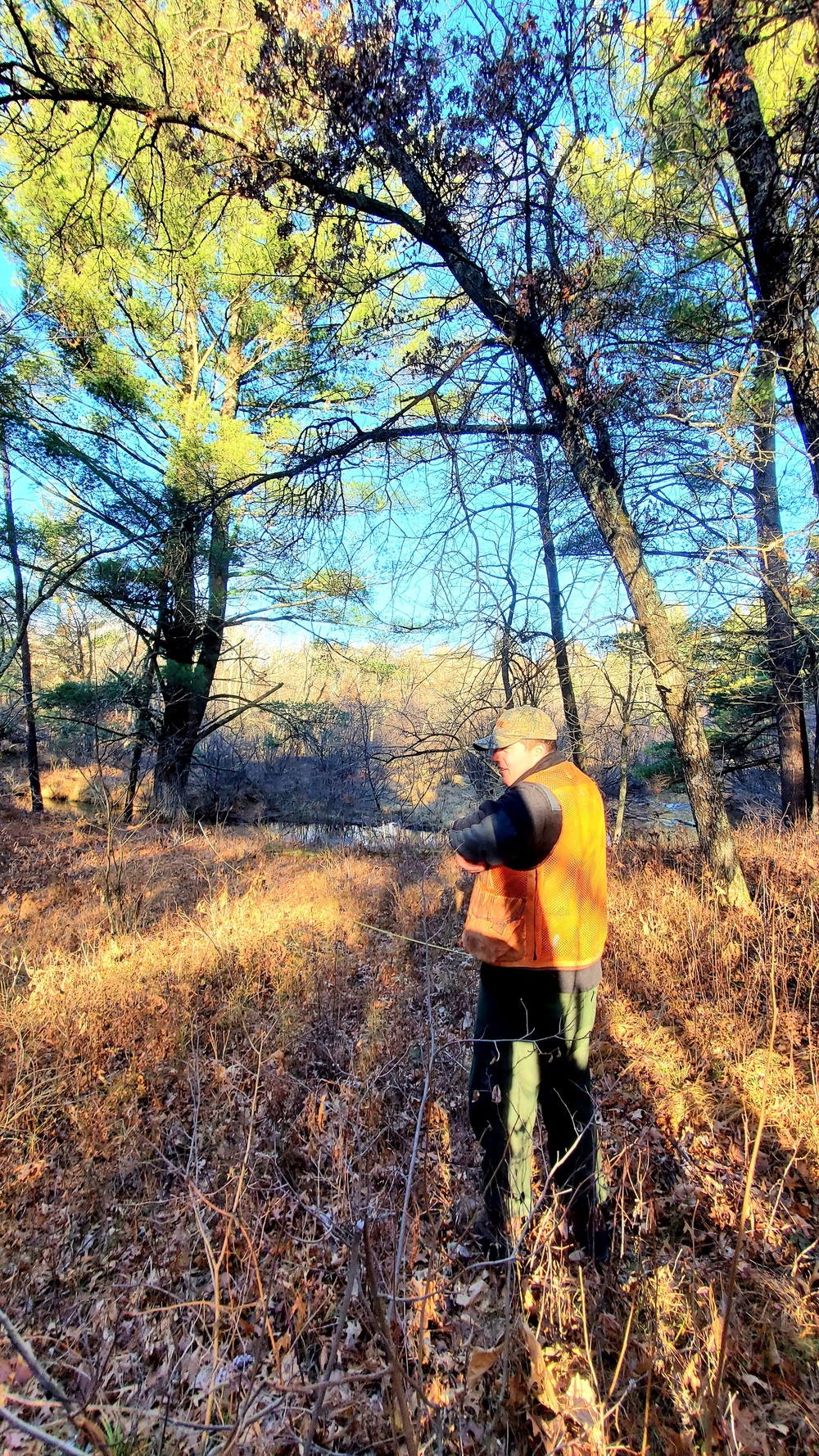 Century-old tree documented in Fort McCoy’s Pine View Recreation Area