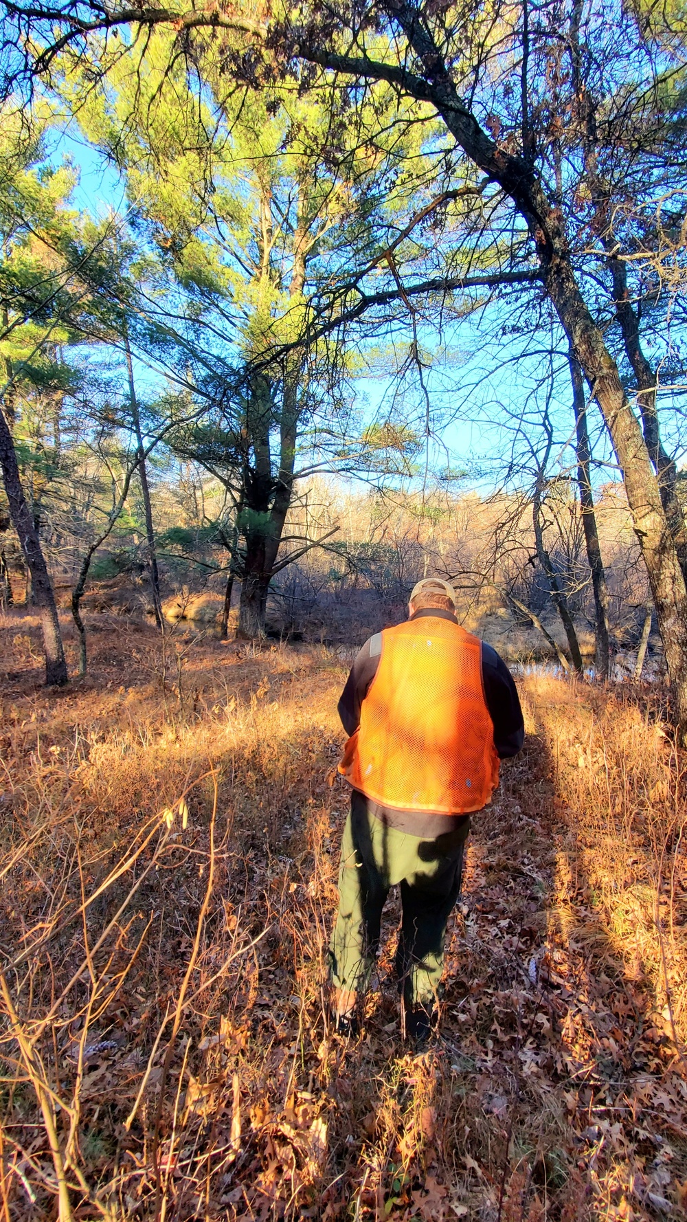 Century-old tree documented in Fort McCoy’s Pine View Recreation Area