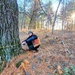 Century-old tree documented in Fort McCoy’s Pine View Recreation Area