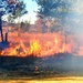 Rare December prescribed burn held on Fort McCoy's North Post