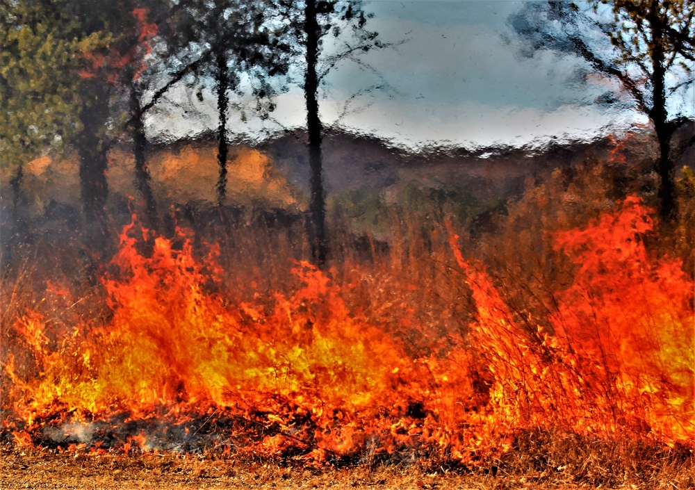 Rare December prescribed burn held on Fort McCoy's North Post