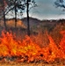 Rare December prescribed burn held on Fort McCoy's North Post