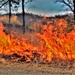 Rare December prescribed burn held on Fort McCoy's North Post