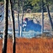 Rare December prescribed burn held on Fort McCoy's North Post