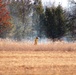 Rare December prescribed burn held on Fort McCoy's North Post