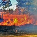 Rare December prescribed burn held on Fort McCoy's North Post