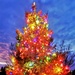 Fort McCoy holds 2021 Tree Lighting Ceremony