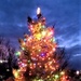 Fort McCoy holds 2021 Tree Lighting Ceremony