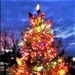 Fort McCoy holds 2021 Tree Lighting Ceremony