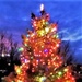 Fort McCoy holds 2021 Tree Lighting Ceremony
