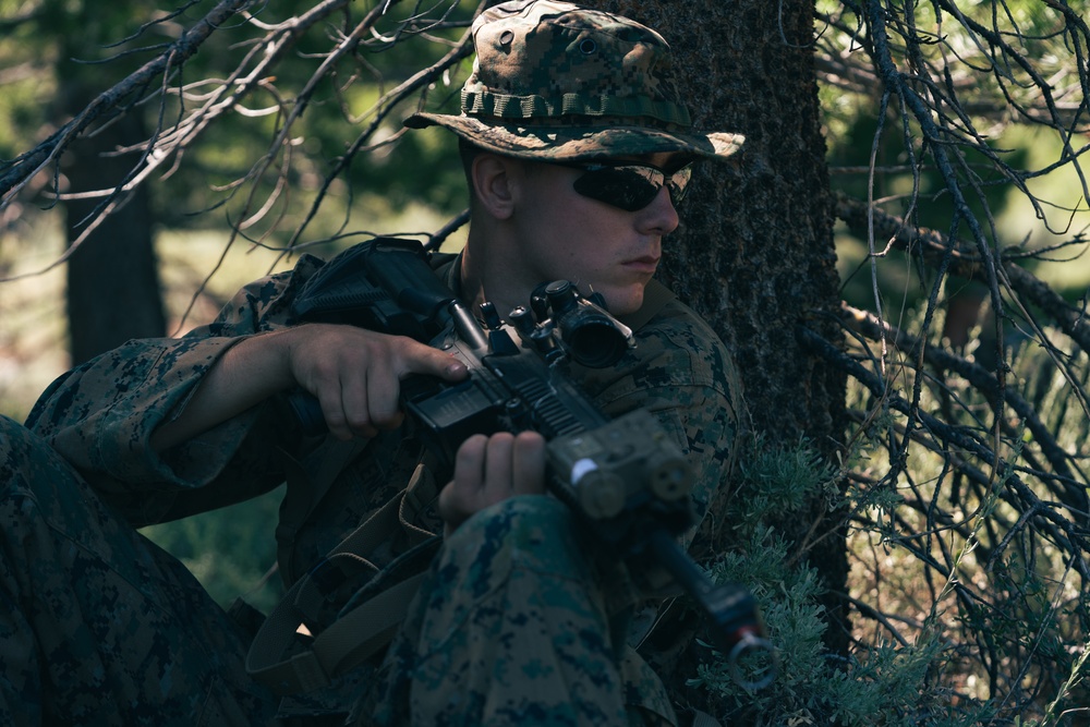 DVIDS - Images - 2/24 Marines train for mountainous environments at MTX ...