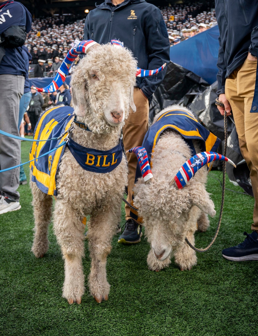 Army-Navy Football Game