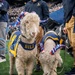 Army-Navy Football Game