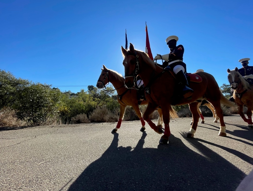 Mounted Color Guard leads Holiday Parade