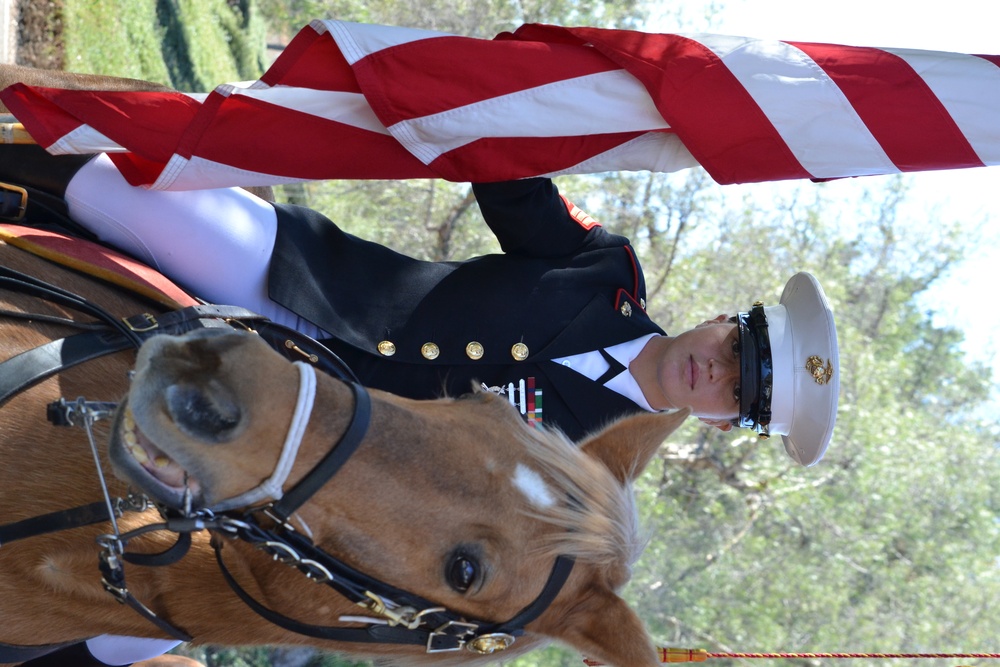 Mounted Color Guard leads Holiday Parade