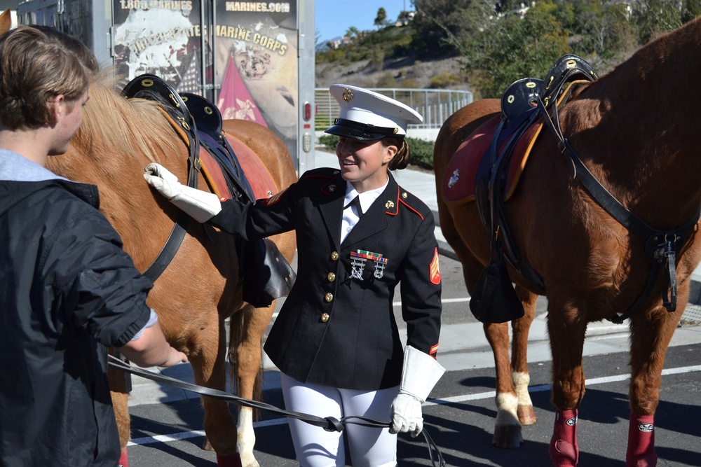 Mounted Color Guard leads Holiday Parade