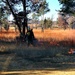 Rare December prescribed burn covers 500-plus acres at Fort McCoy