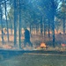 Rare December prescribed burn covers 500-plus acres at Fort McCoy
