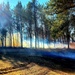 Rare December prescribed burn covers 500-plus acres at Fort McCoy