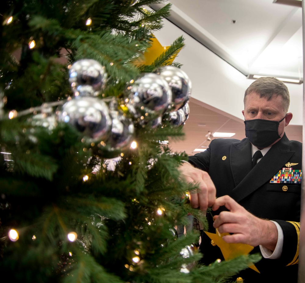 Gold Star Family Tree Ceremony