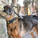 75th SFS hold retirement celebration for two MWDs