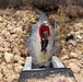 Natural-resources personnel conduct water testing at Fort McCoy
