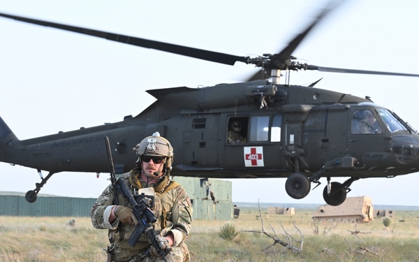 Another year under the Zia Sun