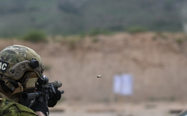 Another year under the Zia Sun