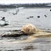 6th Marine Regiment troops jump in for cold-water immersion training at Fort McCoy